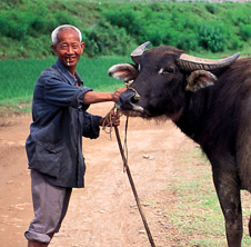 小型飼料顆粒機(jī),農(nóng)民圓夢(mèng)！